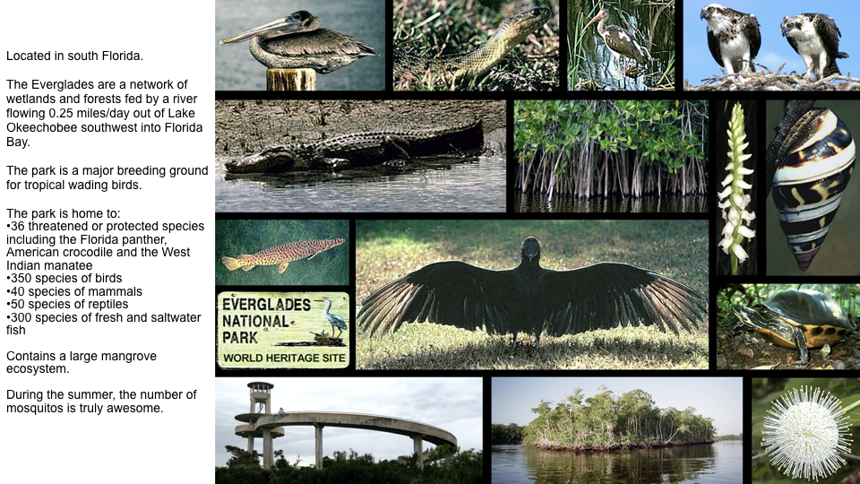 World-Heritage-Sites-in-the-U.S-photos.005