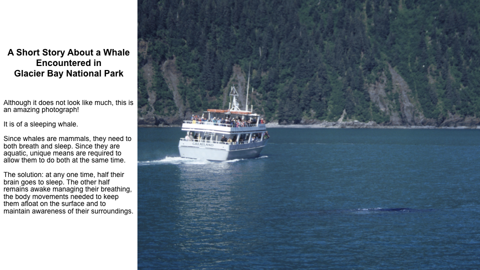 World-Heritage-Sites-in-the-U.S-photos.008